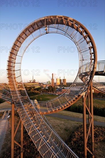 Tiger and Turtle