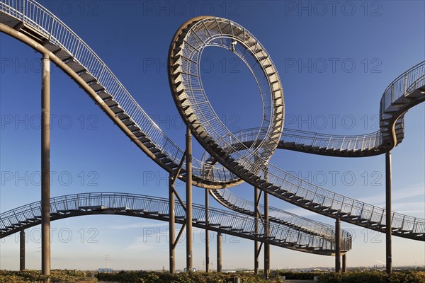 Tiger and Turtle