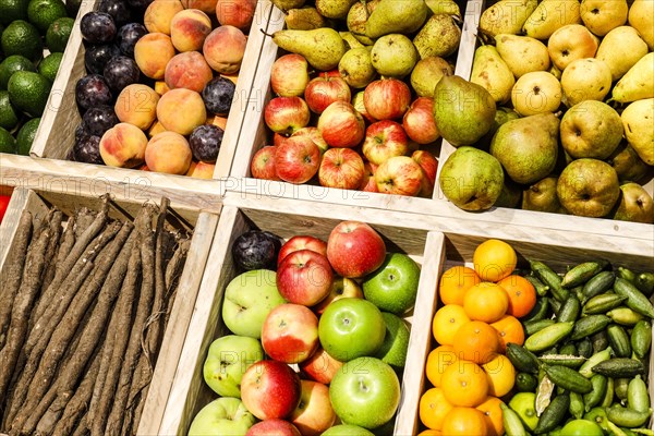 Organic fruit and vegetables in the organic market at the ANUGA food fair