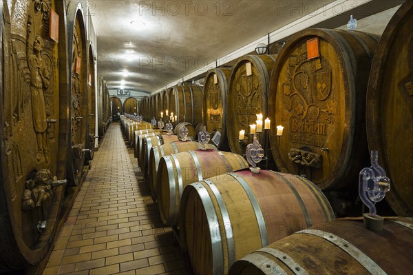 Old wine barrels