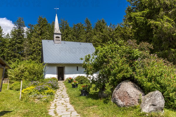 Martin Chapel