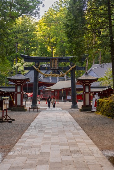 Torii Gate at Nikko Futarasan Shrine