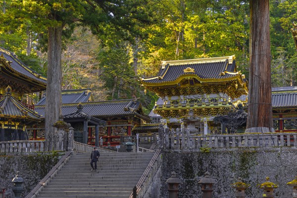 Magnificent Tosho-gu Shrine from the 17th century