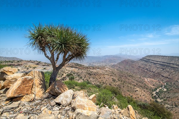 Rock and shrub covered mountains and valleys