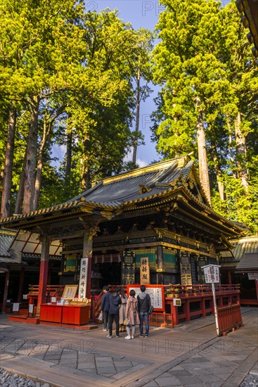 Magnificent Tosho-gu Shrine from the 17th century