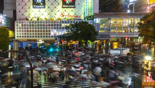 Crowd with umbrellas on zebra crossings at night
