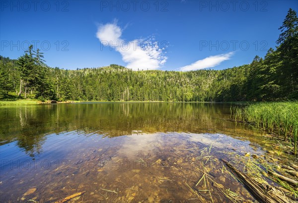 Lake Rachelsee