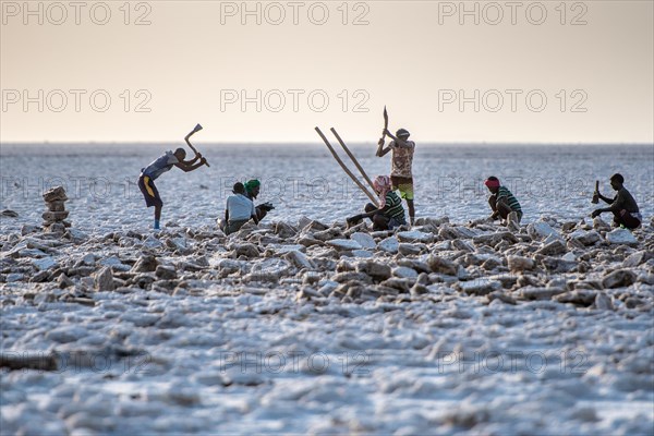 Salt miners dig away at the salt flats in the Danakil Depression