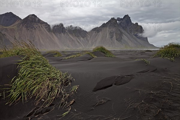 Black lava beach with dunes at Cape Stokksnes with mountain Vestrahorn