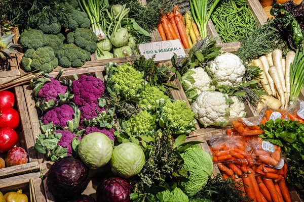 Organic vegetables in the organic market