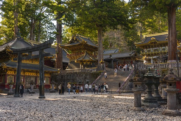 Magnificent Tosho-gu Shrine from the 17th century