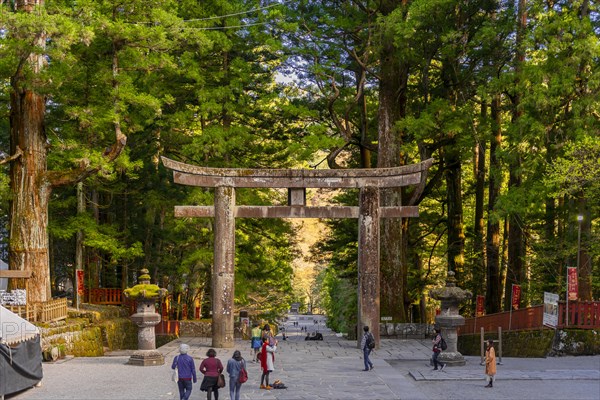 Torii Gate