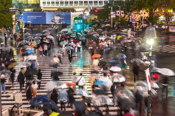 Crowd with umbrellas on zebra crossings at night