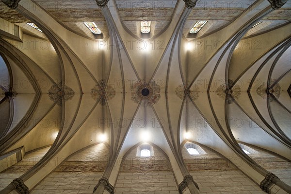 Vaulted ceiling