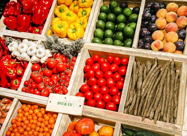 Organic vegetables in the organic market at the ANUGA food fair