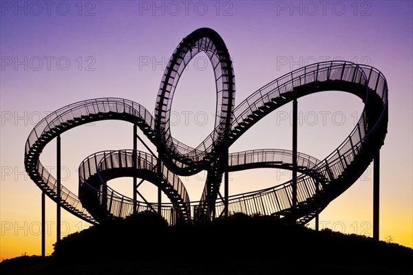 Tiger and Turtle