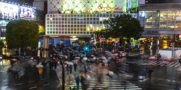 Crowd with umbrellas on zebra crossings at night