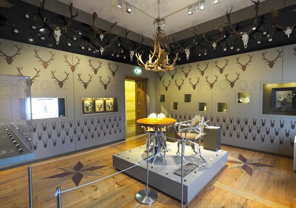 Castle museum