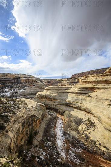 Bick into Deer Canyon near Sipapu Bridge