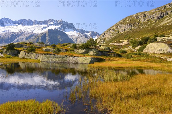 Dammastock and Damma Glacier reflected in swamp lake