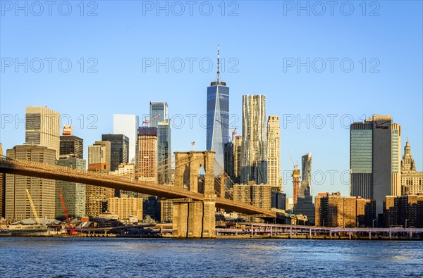 Brooklyn Bridge in the morning light
