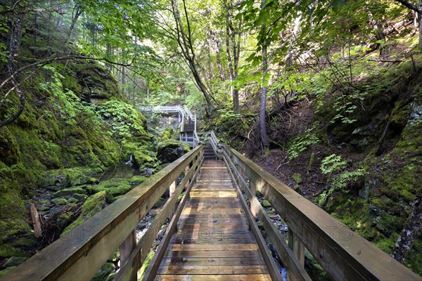 Hiking trail