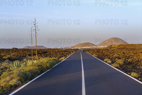 Road through lava field