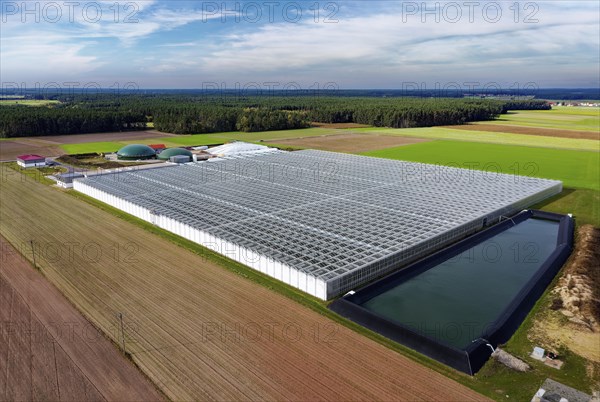 Modern greenhouse with biogas plant