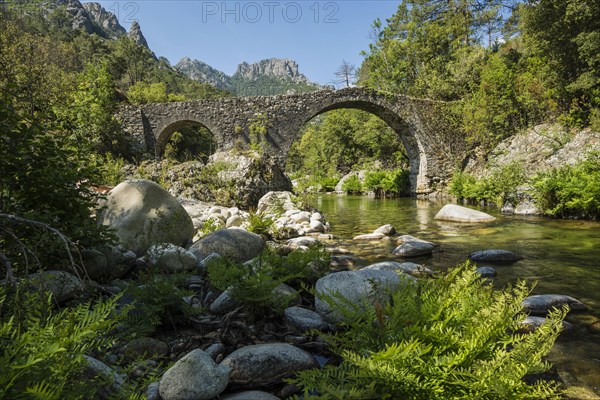 Old Genoa Bridge