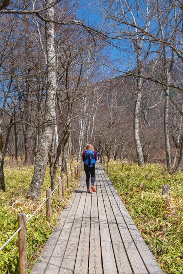 Woman on hiking trail through bamboo