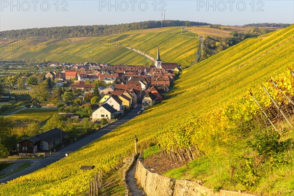 Escherndorf am Main near Volkach