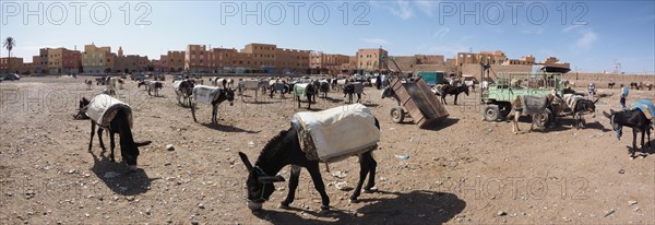 Donkey parking