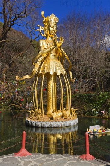 Golden Statue of the God of Nature