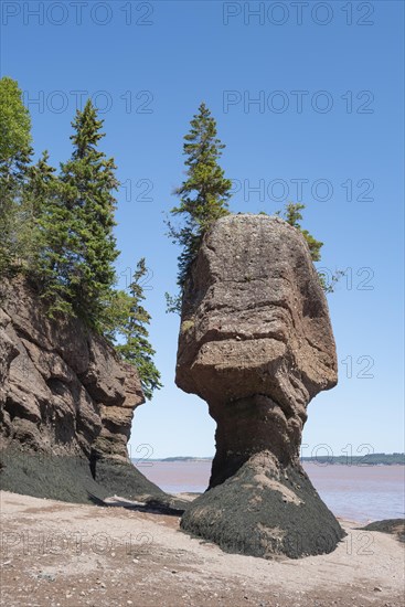 Hopewell Rocks also Flowerpot Rocks