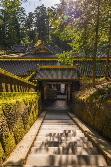 Tosho-gu Shrine from the 17th century