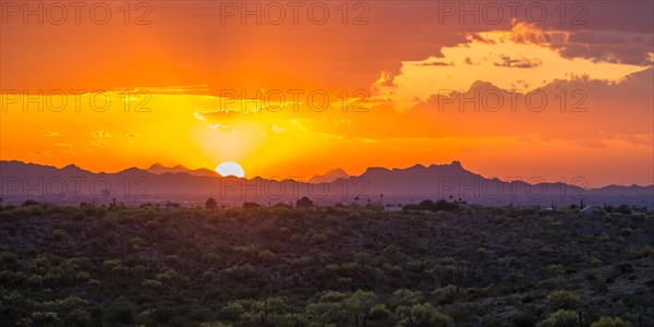 Sonora Desert at sunset