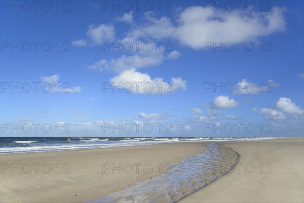 Waves running out at the sandy beach