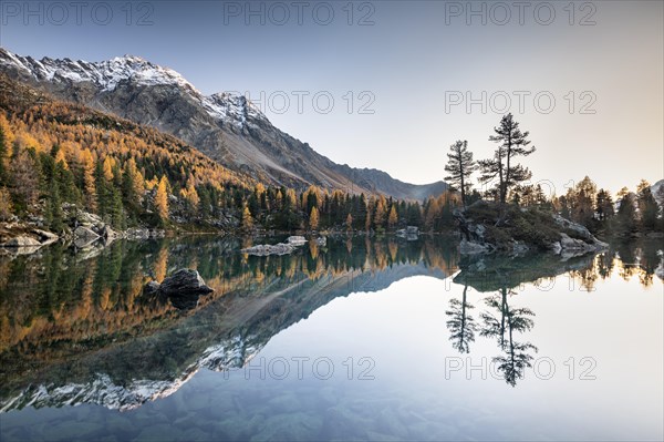 Autumn larch forest reflected in the mountain lake Lago di Saoseo