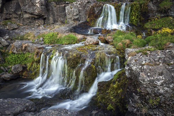 River Dynjandisa at the waterfall Dynjandifoss