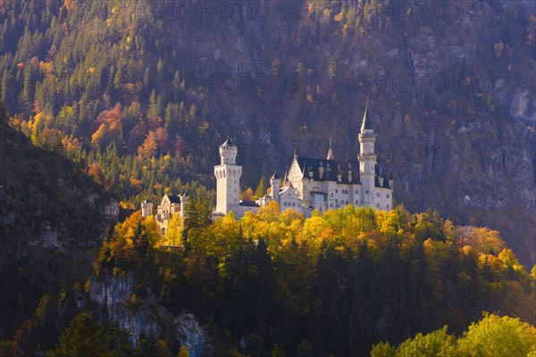 Neuschwanstein Castle in autumn