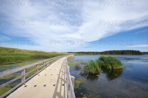 Floating jetty at Lake of shining waters
