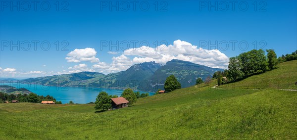 Landscape with Lake Thun