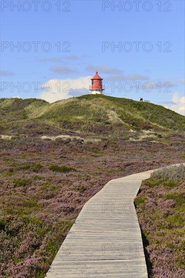 Wooden path in the dunes
