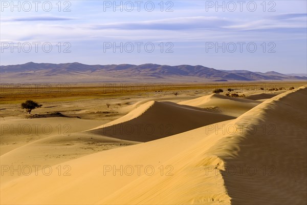 Sand dunes of Elsen Tasarkhai