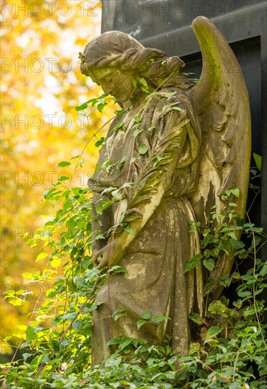 Female angel figure
