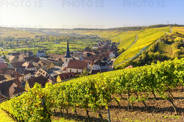 Escherndorf near Volkach