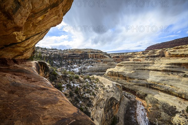 Bick into Deer Canyon near Sipapu Bridge