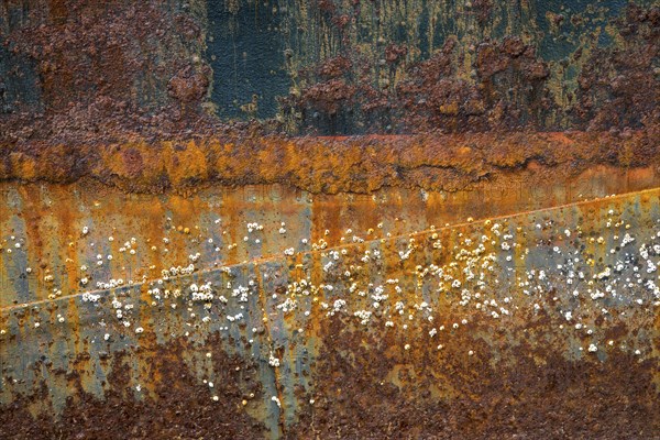 Rusty hull with barnacles