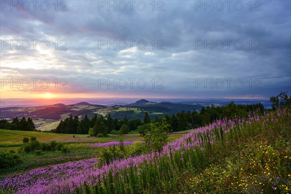 View from the Wasserkuppe to the hilly landscape at sunset
