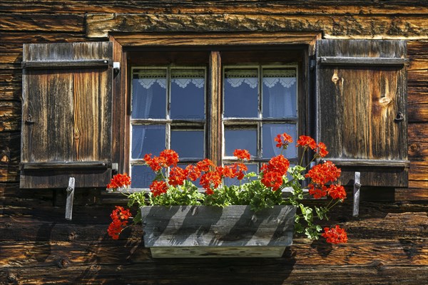 Window with geraniums on an old farmhouse in the historic mountain farming village Gerstruben